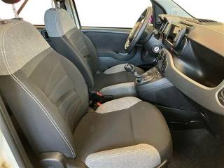 FIAT Panda usata, con Sensori di parcheggio posteriori