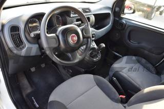 FIAT Panda usata, con Servosterzo
