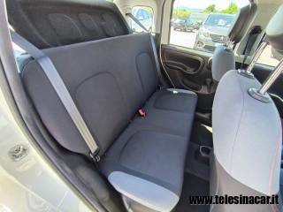 FIAT Panda usata 16