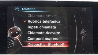 BMW 116 usata 100