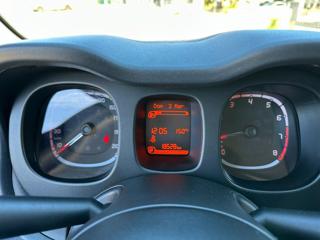 FIAT Panda Cross usata 63
