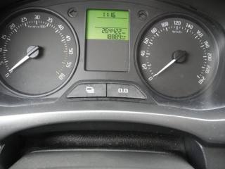 SKODA Fabia usata 25