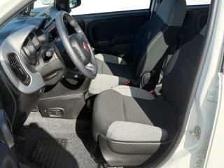 FIAT Panda usata, con Servosterzo