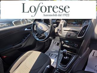 FORD Focus usata, con Cruise Control