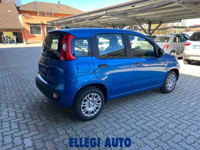 FIAT Panda usata, con Controllo trazione