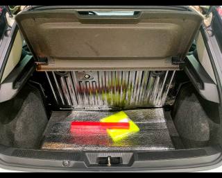 FIAT Punto usata 16