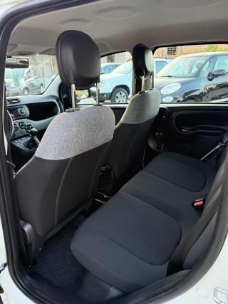 FIAT Panda usata 14