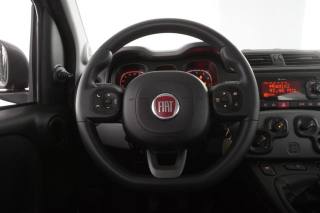 FIAT Panda usata 12