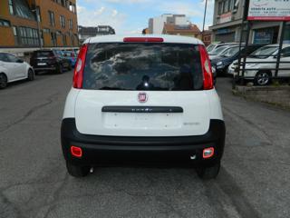 FIAT Panda usata, con Alzacristalli elettrici