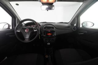 FIAT Punto usata 4