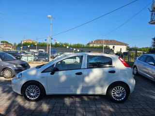 FIAT Punto usata, con Airbag