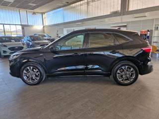 FORD Kuga usata, con Airbag