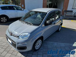 FIAT Panda III 1.0 70Cv FireFly S&S Mild-Hybrid