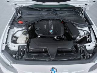 BMW 114 usata, con Bracciolo