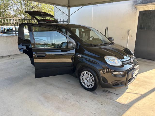 FIAT Panda usata, con Cerchioni in acciaio