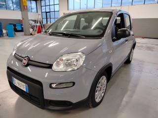 FIAT Panda 1.0 FireFly S&S Hybrid km 5.000