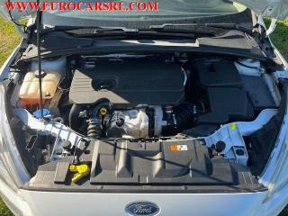 FORD Focus usata 24