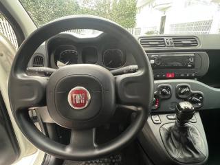 FIAT Panda usata, con Climatizzatore