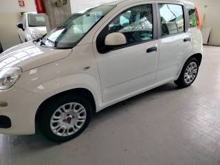 FIAT Panda usata, con Airbag Passeggero