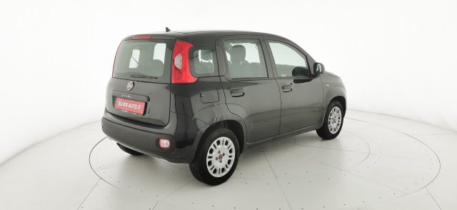 FIAT Panda usata 43