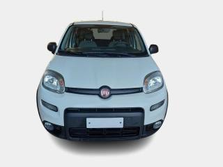 FIAT Panda usata, con Airbag