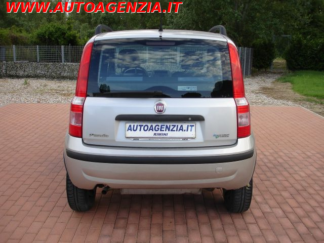 FIAT Panda usata 6