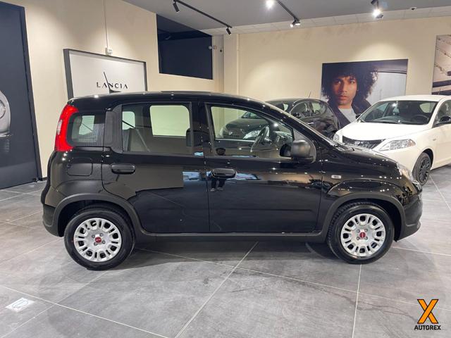 FIAT Panda usata, con Antifurto