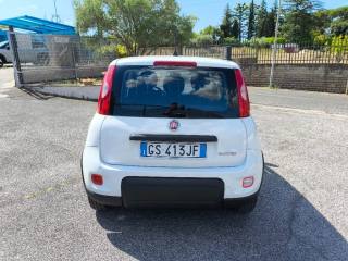 FIAT Panda usata 4