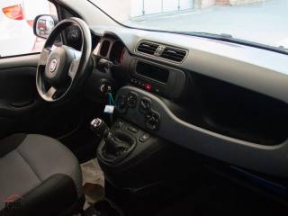 FIAT Panda usata 12