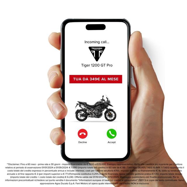 TRIUMPH Tiger 1200 usata 2