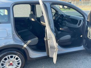 FIAT Panda usata 14