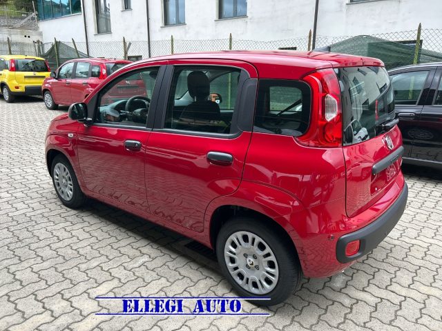 FIAT Panda usata, con Antifurto