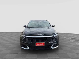 KIA Sportage usata 7