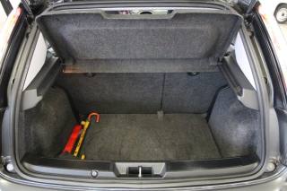 FIAT Punto Evo usata, con Airbag testa
