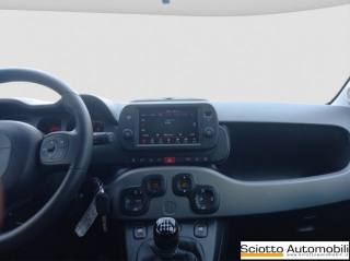 FIAT Panda usata 14