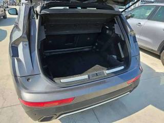 DS AUTOMOBILES DS 7 usata, con Volante in pelle