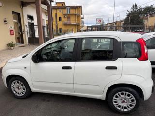 FIAT Panda usata, con Controllo trazione