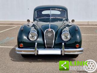 JAGUAR XK usata 1