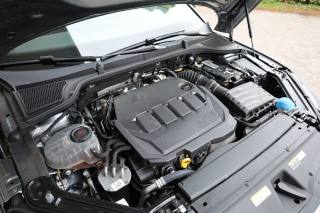 SKODA Octavia usata 174