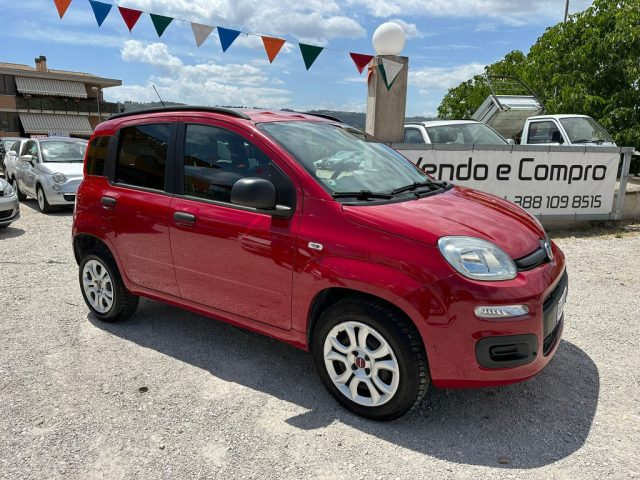 FIAT Panda usata, con Airbag Passeggero