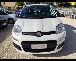 FIAT Panda usata, con Airbag testa