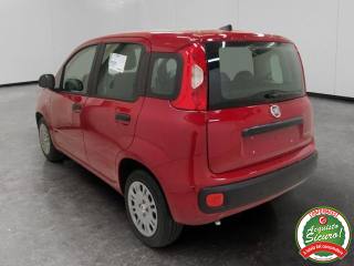 FIAT Panda usata, con Climatizzatore