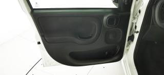 FIAT Panda usata 43