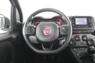 FIAT Panda usata 5