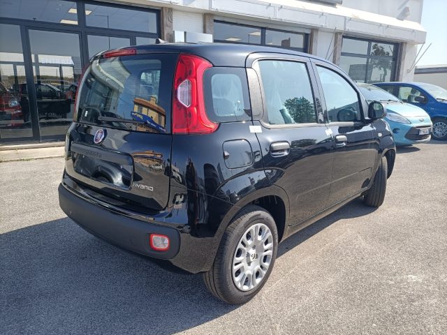 FIAT Panda usata, con Climatizzatore