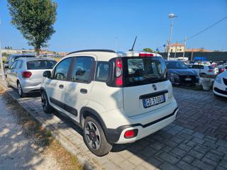 FIAT Panda Cross usata, con Airbag Passeggero