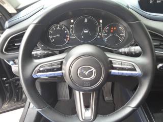 MAZDA CX-30 usata, con Boardcomputer