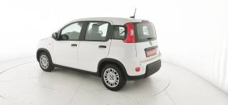 FIAT Panda usata 30