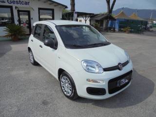FIAT Panda usata 15