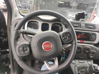 FIAT Panda usata, con ESP